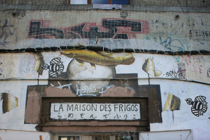 France, ile de france, paris 13e arrondissement, quartier bibliotheque, rue des frigos, anciens entrepots frigorifiques, ateliers d'artiste,


Date : 2011-2012