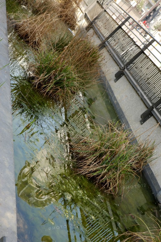 France, ile de france, paris 13e arrondissement, rue thomas mann, jardin abbe pierre, developpement durable, ecologie, faculte de paris diderot,


Date : 2011-2012