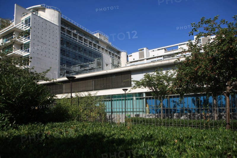 France, ile de france, paris, 13e arrondissement, zac paris rive gauche, rue georges balanchine, groupe scolaire george balanchine, ecole elementaire et ecole maternelle, education,


Date : 2011-2012