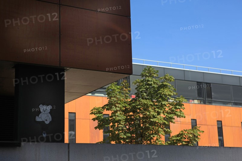 France, ile de france, paris, 13e arrondissement, zac paris rive gauche, rue rene goscini, groupe scolaire primo levi, ecole elementaire et ecole maternelle, education,


Date : 2011-2012