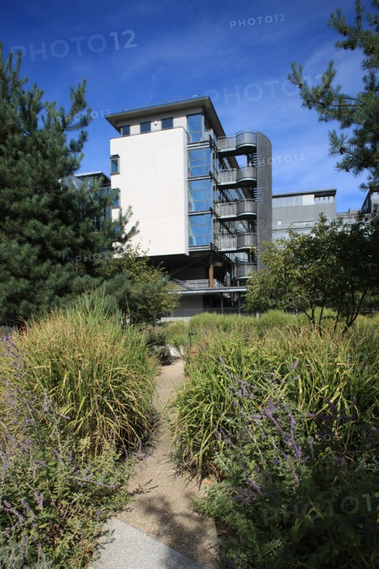 France, ile de france, paris, 13e arrondissement, zac paris rive gauche, rue thomas mann, college thomas mann, education, ecole,


Date : 2011-2012