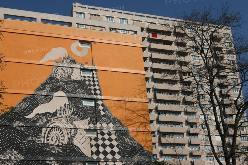 france, region ile de france, paris 13e arrondissement, boulevard de l'hopital, immeuble, mur peint,


Date : 2011-2012