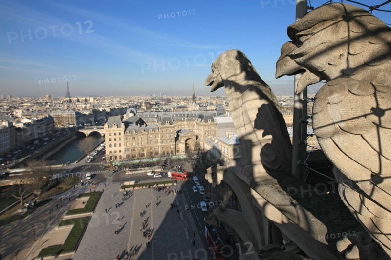 France, ile de france, paris 4e arrondissement, ile de la cite, parvis, notre dame de paris, cathedrale, montee aux tours, panorama, chimeres,