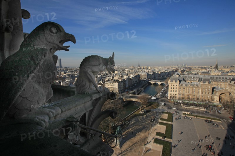France, ile de france, paris 4e arrondissement, ile de la cite, parvis, notre dame de paris, cathedrale, montee aux tours, panorama, chimeres,