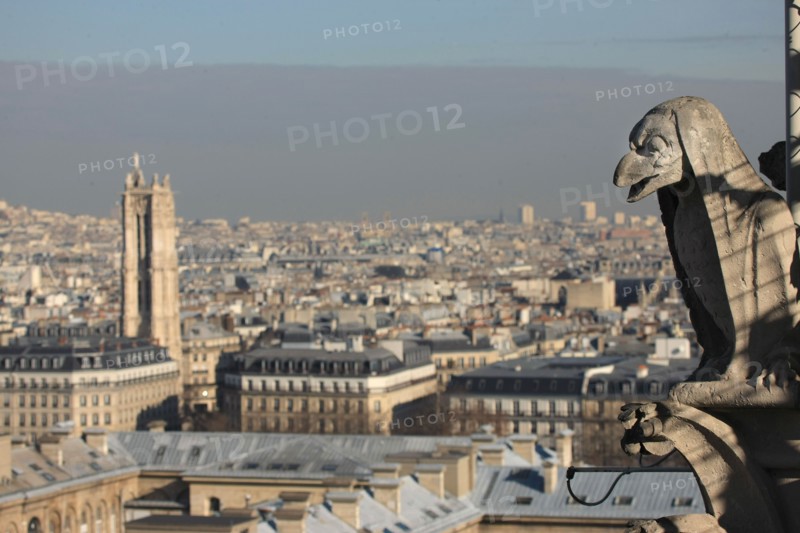 France, ile de france, paris 4e arrondissement, ile de la cite, parvis, notre dame de paris, cathedrale, montee aux tours, panorama,