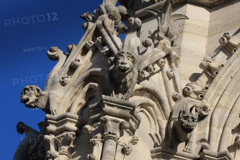 France, ile de france, paris 4e arrondissement, ile de la cite, parvis, notre dame de paris, cathedrale, montee aux tours, panorama, bestiaire,