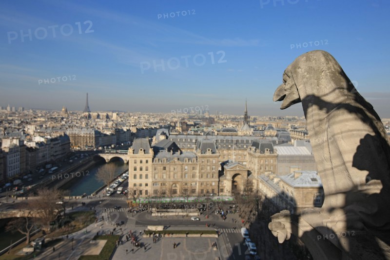 France, ile de france, paris 4e arrondissement, ile de la cite, parvis, notre dame de paris, cathedrale, montee aux tours, panorama,