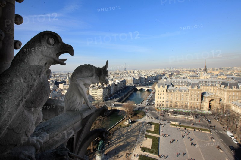 France, ile de france, paris 4e arrondissement, ile de la cite, parvis, notre dame de paris, cathedrale, montee aux tours, panorama,