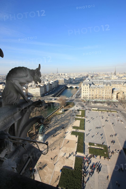 France, ile de france, paris 4e arrondissement, ile de la cite, parvis, notre dame de paris, cathedrale, montee aux tours, panorama, chimere,