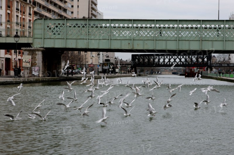 France, ile de france, paris 10e arrondissement, canal de l'ourcq, quai de l'oise, mouette, pont ferroviaire, bateau, peniche, passerelle, transport fluvial, crimee,