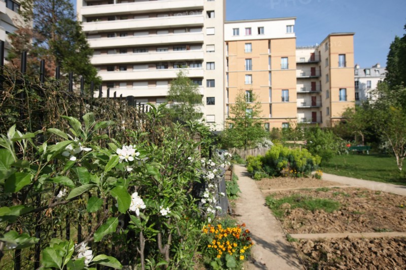 France, ile de france, paris 20e arrondissement, rue michel de bourges, square casque d'or, jardin public, fleurs, simone signoret, jacques becker, film,