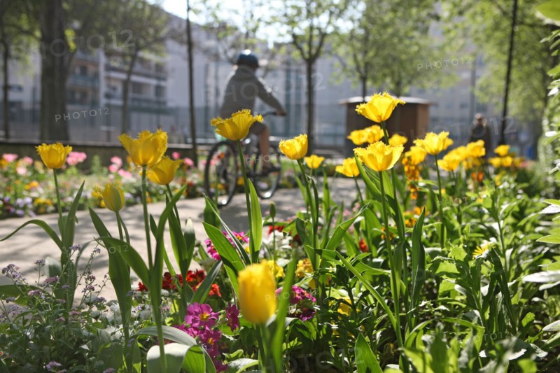 France, ile de france, paris 20e arrondissement, rue michel de bourges, square casque d'or, jardin public, fleurs, simone signoret, jacques becker, film,
