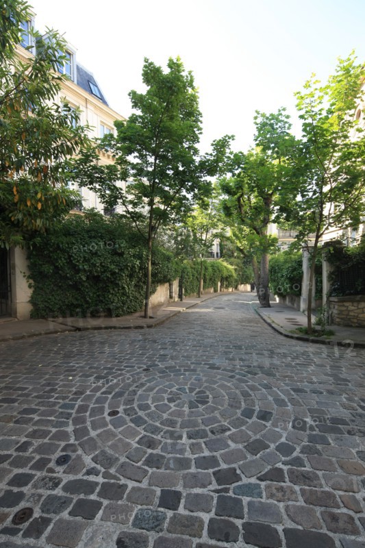 France, ile de france, paris 9e arrondissement, avenue frochot, voie privee entre la rue victor masse et la place pigalle,


Date : Ete 2012