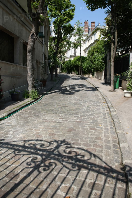 France, ile de france, paris 9e arrondissement, avenue frochot, voie privee entre la rue victor masse et la place pigalle,


Date : Ete 2012