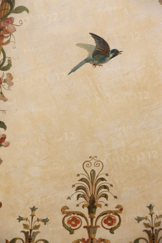France, ile de france, paris 9e, 9 rue drouot, mairie du 9e arrondissement, hotel d'augny, salon aguado, detail de la rotonde au plafond, decor, oiseaux, palmettes,


Date : Ete 2012