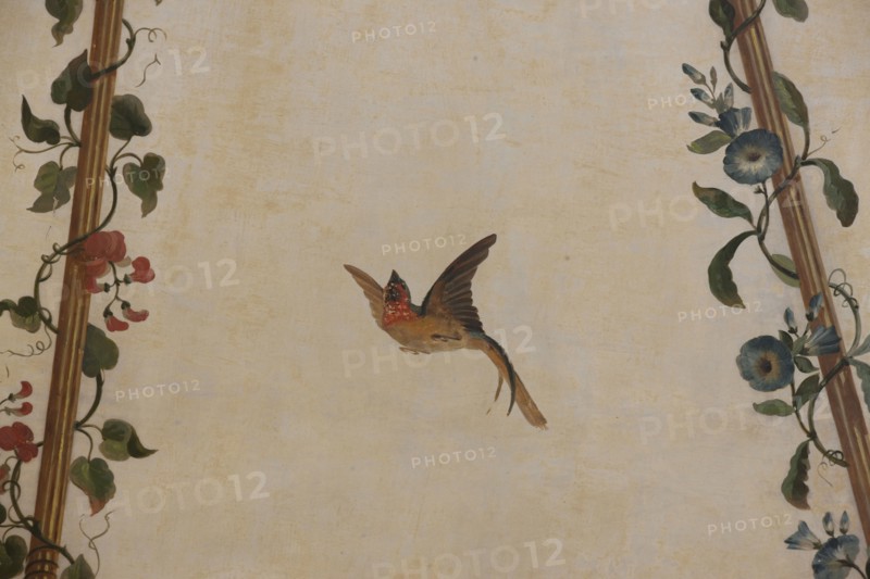 France, ile de france, paris 9e, 9 rue drouot, mairie du 9e arrondissement, hotel d'augny, salon aguado, detail de la rotonde au plafond, decor, oiseaux, palmettes,


Date : Ete 2012
