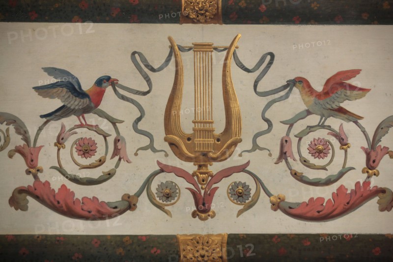 France, ile de france, paris 9e arrondissement, nouvelle athenes, 3 rue de la tour des dames, hotel particulier de mademoiselle duchesnois, maison, salon de musique, lambris, decor a palmettes et oiseaux,


Date : Ete 2012