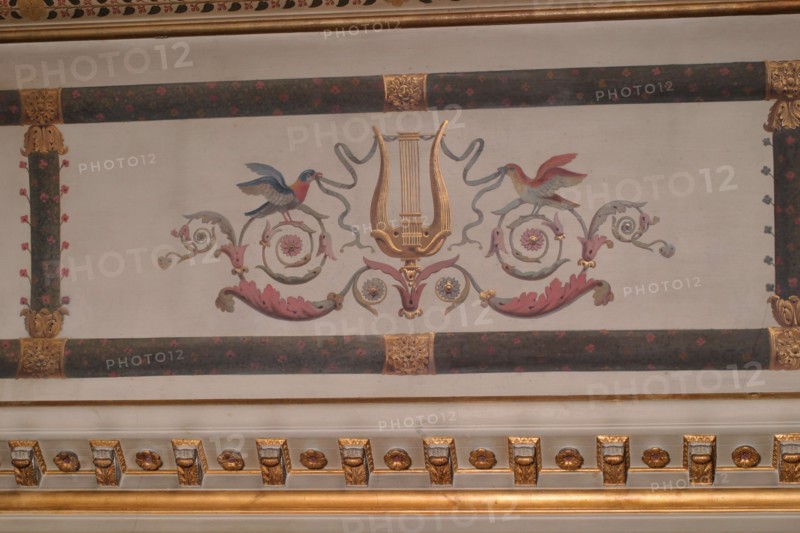 France, ile de france, paris 9e arrondissement, nouvelle athenes, 3 rue de la tour des dames, hotel particulier de mademoiselle duchesnois, maison, salon de musique, lambris, decor a palmettes et oiseaux,


Date : Ete 2012