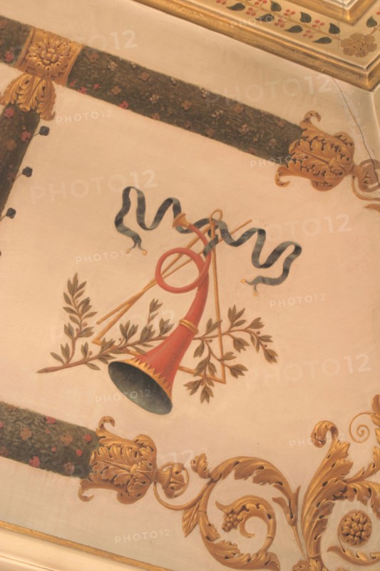 France, ile de france, paris 9e arrondissement, nouvelle athenes, 3 rue de la tour des dames, hotel particulier de mademoiselle duchesnois, maison, salon de musique, lambris, decor a palmettes et oiseaux,


Date : Ete 2012