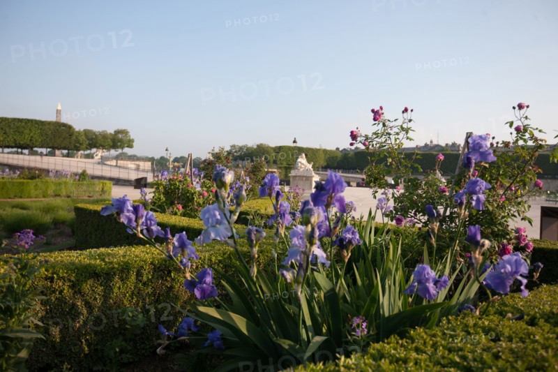 France, Region Ile de France, Paris, 1er arrondissement, jardin des Tuileries, bassin,