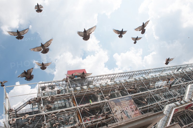France, Region Ile de France, Paris 4e arrondissement, Beaubourg, Centre Georges Pompidou, piazza, place, touristes, pigeons,