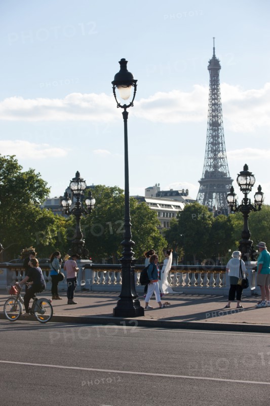 France, Region Ile de France, Paris 7e arrondissement, Pont Alexandre III, la Seine et les berges, Invalides, Tour Eiffel