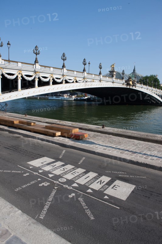 France, Region Ile de France, Paris 8e arrondissement, Pont Alexandre III, vue sur la Tour Eiffel et les Invalides