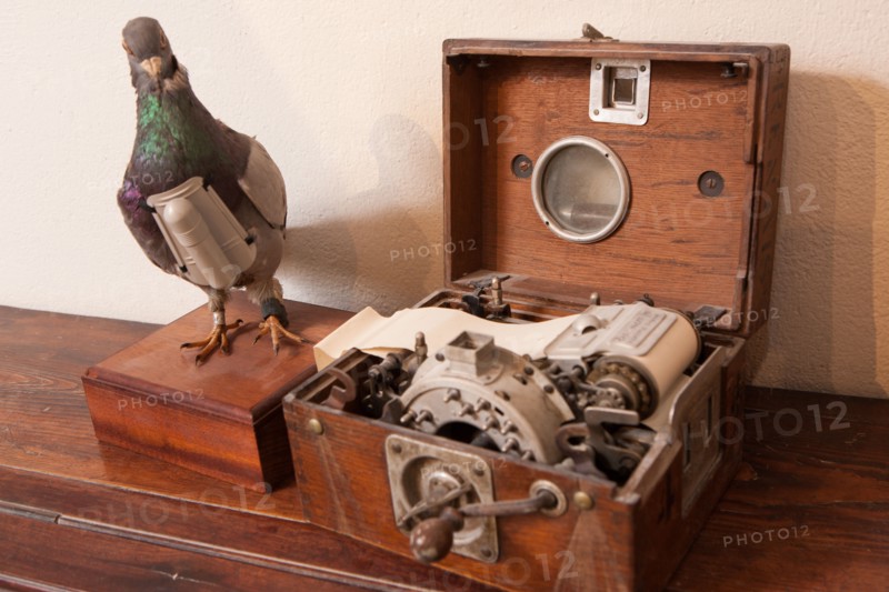 France, Region Ile de France, Hauts de Seine, Suresnes, fort du Mont Valerien, musee de la colombophilie militaire, pigeons, armee, defense, vaillant,