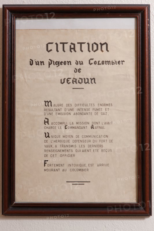 France, Region Ile de France, Hauts de Seine, Suresnes, fort du Mont Valerien, musee de la colombophilie militaire, pigeons, armee, defense, vaillant,