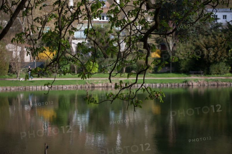 France, Region Ile de France, Hauts de Seine, Ville d'Avray, 53 rue de Versailles, Etangs de Corot, auberge Cabassud, les Paillottes,