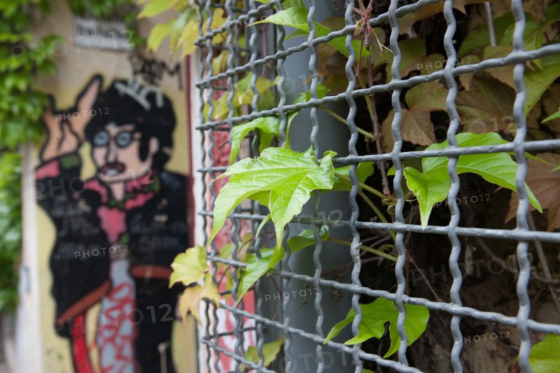 Allemagne, Germany, Berlin, Scheunenviertel, quartier des Granges, grillage et graffiti,