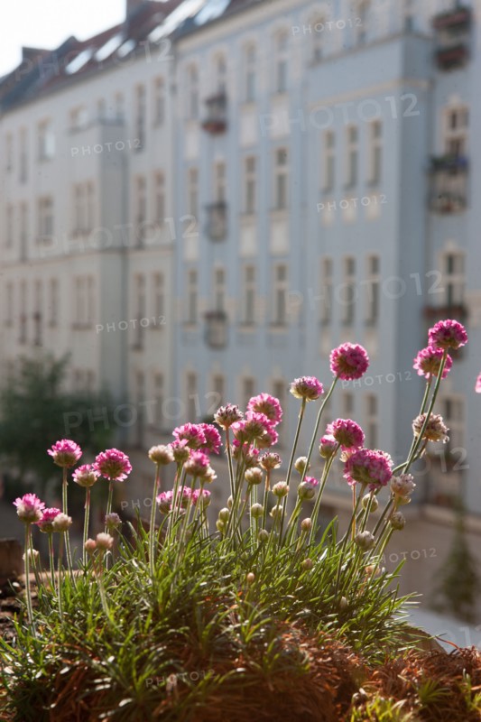 Allemagne (Germany), Berlin, Prenzlauer Berg, Gaudy Strasse, appartement,