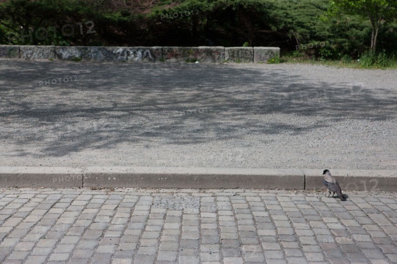 Allemagne (Germany), Berlin, Prenzlauer Berg, Mauer Park, vestiges du Mur de Berlin, jardin public,