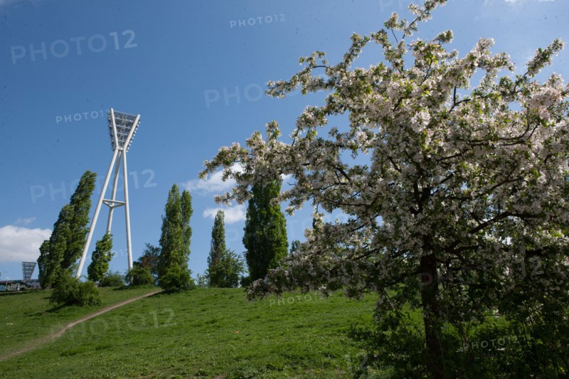 Allemagne (Germany), Berlin, Prenzlauer Berg, Mauer Park, vestiges du Mur de Berlin, jardin public,