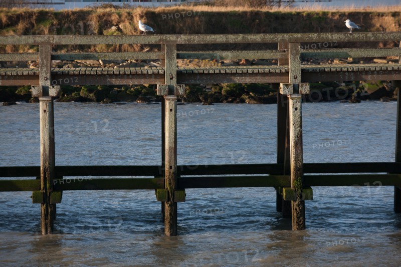 France, region Basse Normandie, Calvados, Cote fleurie, Trouville-sur-Mer, plage, jetee, estacade, phare, mer