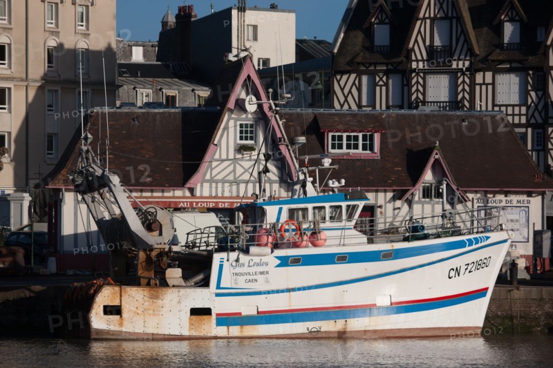 France, region Basse Normandie, Calvados, Cote fleurie, Trouville-sur-Mer, port, chalutiers a quai, mouettes, eau, la Touques,