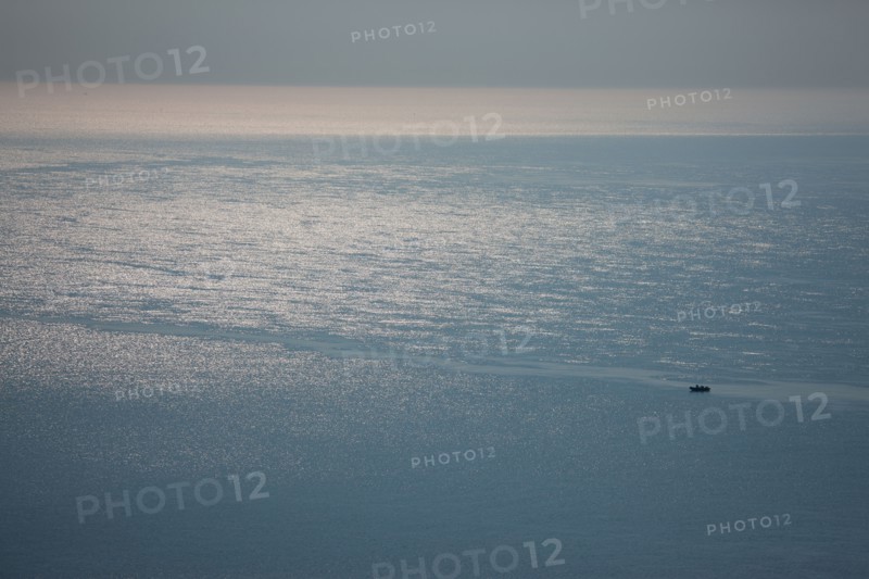 France, region Haute Normandie, Seine Maritime, pays des hautes falaises, Etretat, Valleuse d'Antifer, le tilleul,