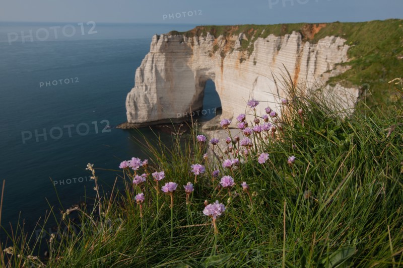 France, region Haute Normandie, Seine Maritime, pays des hautes falaises, Etretat, falaise d'aval, la manneporte