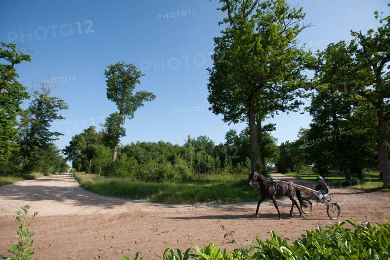 France, Ile de France, Val-de-Marne, Boissy-Saint-Leger, centre d'entrainement de Grosbois, chateau, trot, courses hippiques,