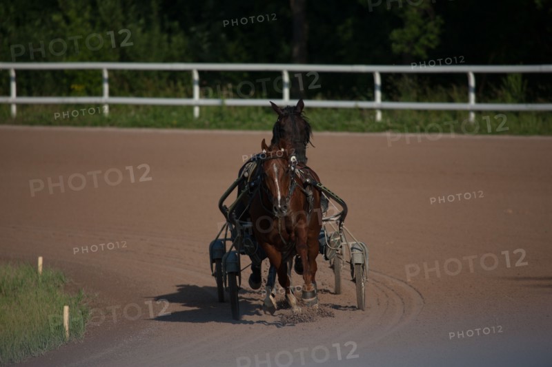 France, Ile de France, Val-de-Marne, Boissy-Saint-Leger, centre d'entrainement de Grosbois, chateau, trot, courses hippiques,