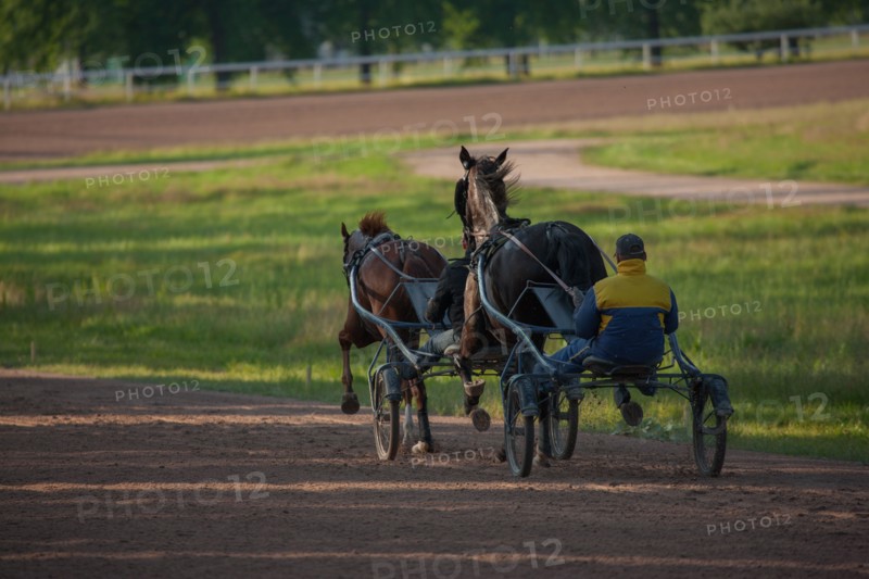 France, Ile de France, Val-de-Marne, Boissy-Saint-Leger, centre d'entrainement de Grosbois, chateau, trot, courses hippiques,