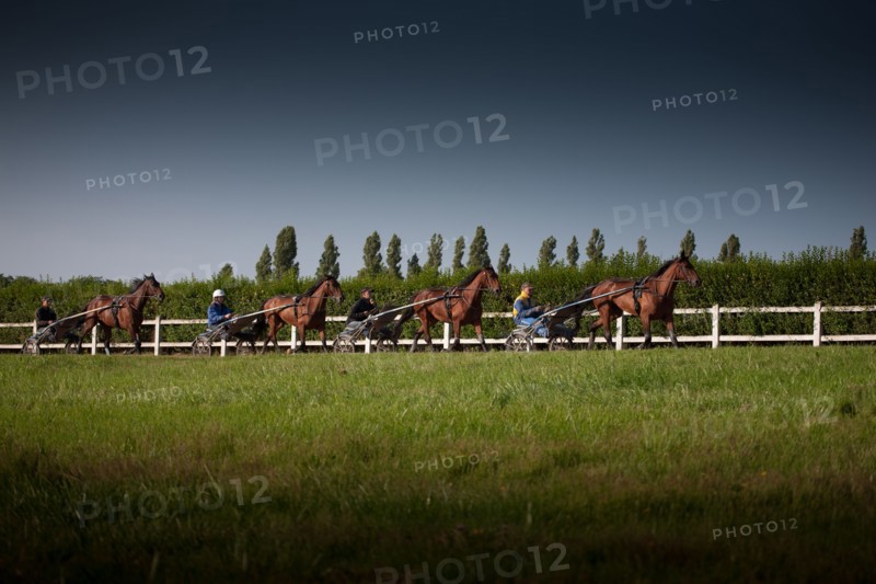 France, Ile de France, Val-de-Marne, Boissy-Saint-Leger, centre d'entrainement de Grosbois, chateau, trot, courses hippiques,