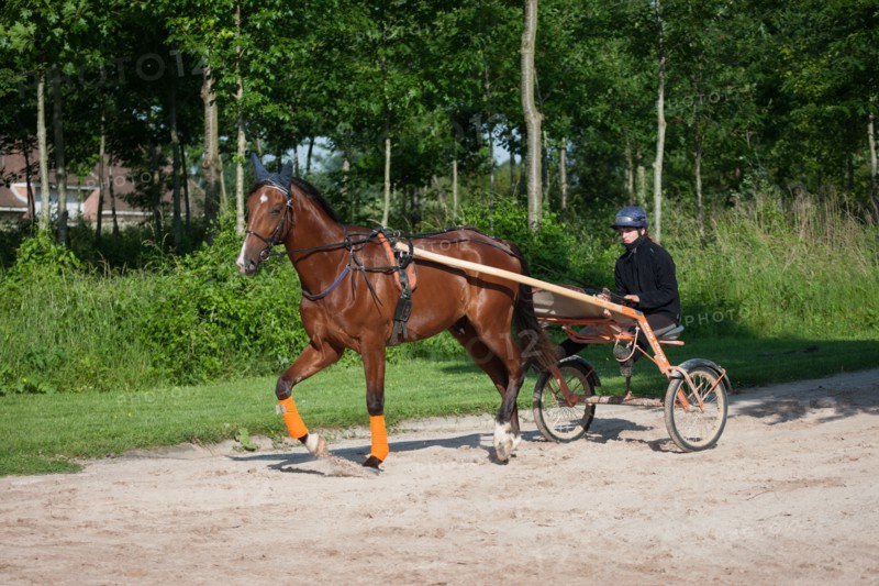 France, Ile de France, Val-de-Marne, Boissy-Saint-Leger, centre d'entrainement de Grosbois, chateau, trot, courses hippiques,