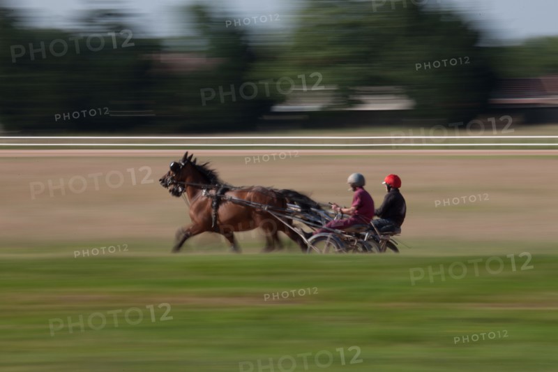 France, Ile de France, Val-de-Marne, Boissy-Saint-Leger, centre d'entrainement de Grosbois, chateau, trot, courses hippiques,