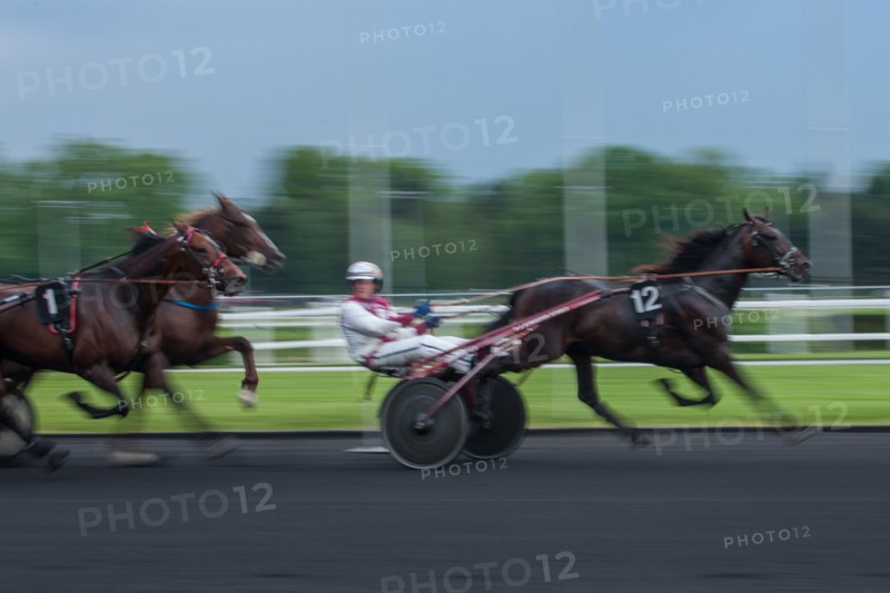 France, Ile de France, Val-de-Marne, Boissy-Saint-Leger, centre d'entrainement de Grosbois, chateau, trot, courses hippiques,