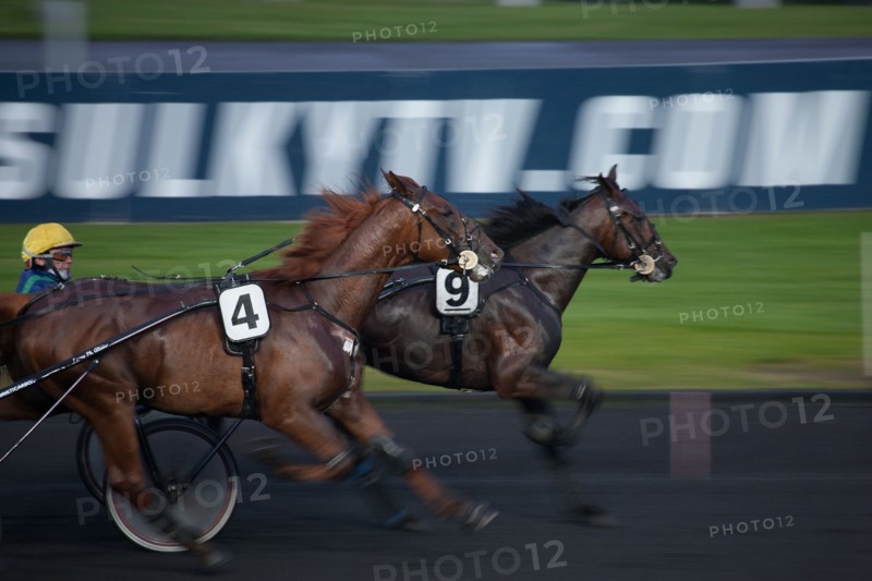 France, Ile de France, Val-de-Marne, Boissy-Saint-Leger, centre d'entrainement de Grosbois, chateau, trot, courses hippiques,