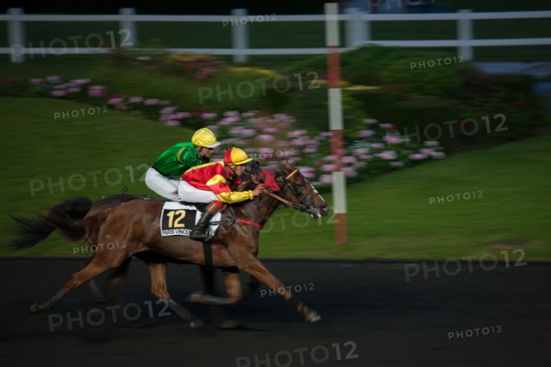 France, Ile de France, Val-de-Marne, Boissy-Saint-Leger, centre d'entrainement de Grosbois, chateau, trot, courses hippiques,
