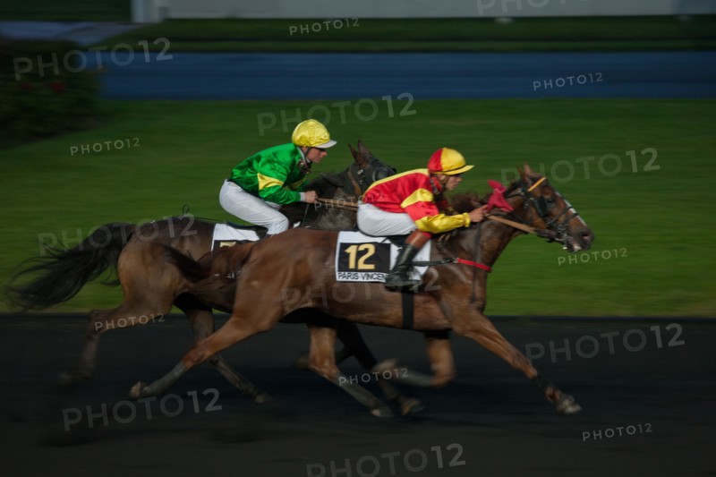 France, Ile de France, Val-de-Marne, Boissy-Saint-Leger, centre d'entrainement de Grosbois, chateau, trot, courses hippiques,
