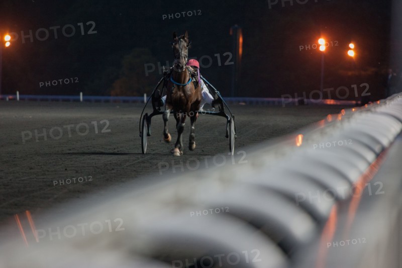 France, Ile de France, Val-de-Marne, Boissy-Saint-Leger, centre d'entrainement de Grosbois, chateau, trot, courses hippiques,