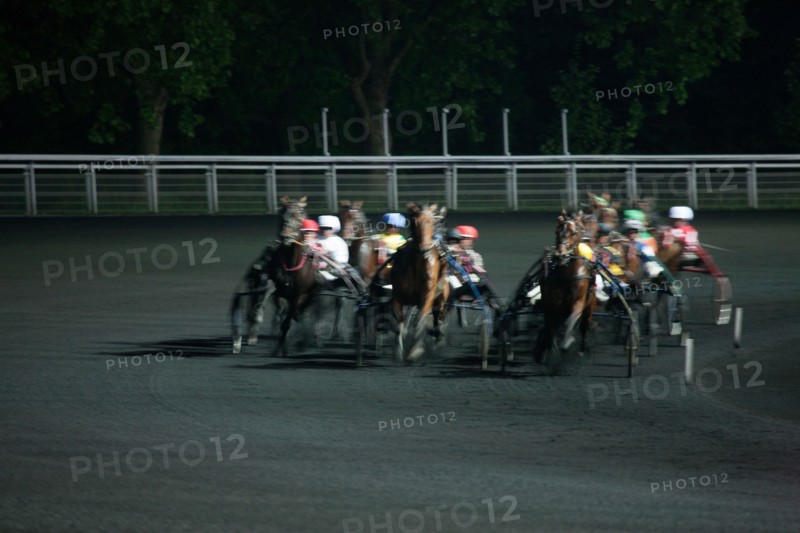 France, Ile de France, Val-de-Marne, Boissy-Saint-Leger, centre d'entrainement de Grosbois, chateau, trot, courses hippiques,